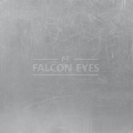 Отражатель Falcon Eyes RR5-5684